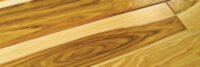 American Hickory Natural HS5HICH1