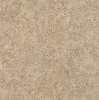 Taupe D4145