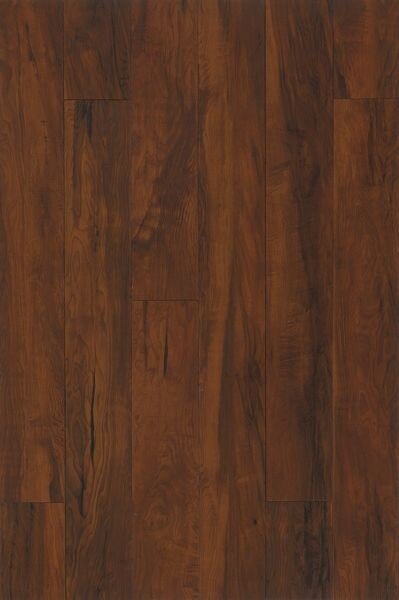 Cerisier Heirloom TP049