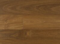 Brazilian Chestnut IPTRENGTC5