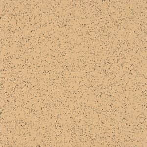 Coconino Sandstone 52184