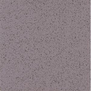 Cowrie_Shell.jpg Cowrie Shell 52178