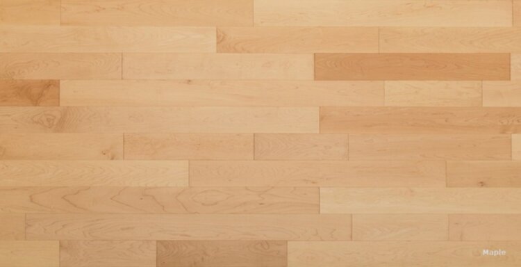 Maple D5021