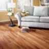 Tigerwood_Natural1dh.jpg Tigerwood_Natural1dh.jpg
