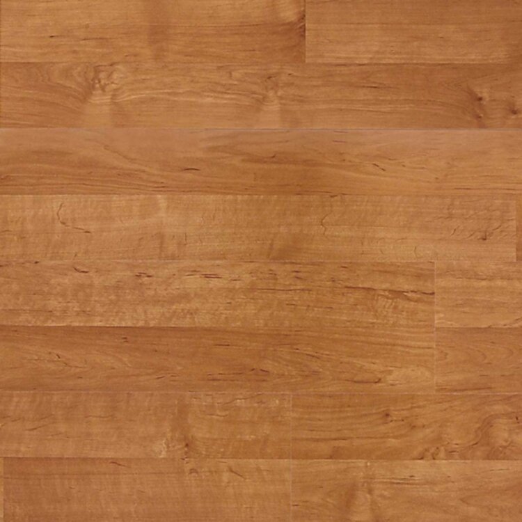 Terra Alder U1518
