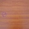 Jatoba_JTB624.jpg